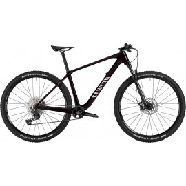 2025 Canyon Exceed CF 5 Mountain Bike