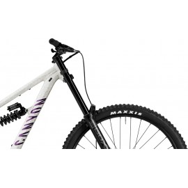 2025 Canyon Torque DH CLLCTV Mountain Bike