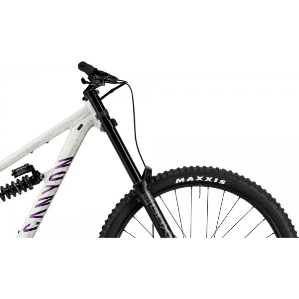 2025 Canyon Torque DH CLLCTV Mountain Bike