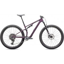2025 Specialized Epic 8 EVO Expert Mountain Bike