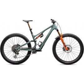 2025 Specialized S-Works Stumpjumper 15 LTD - FOX DHX Live Valve Neo Mountain Bike