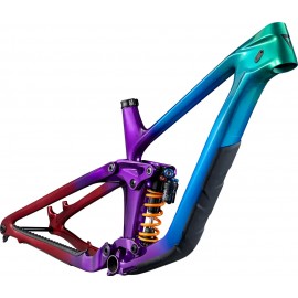 2024 Giant Reign Advanced Frame