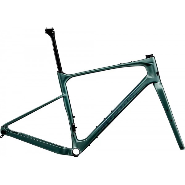 2024 Giant Revolt Advanced Pro Frameset