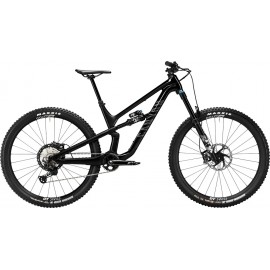 2024 Canyon Spectral 29 CF 8 Mountain Bike