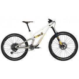 2024 Canyon Torque CF CLLCTV FW Mountain Bike