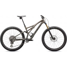 2024 Specialized S-Works Stumpjumper T-Type Mountain Bike