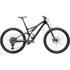 2024 Specialized Stumpjumper Expert T-Type Mountain Bike