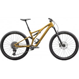 2024 Specialized Stumpjumper Expert T-Type Mountain Bike