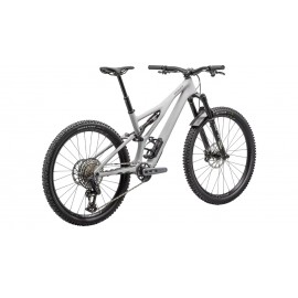 2024 Specialized Stumpjumper LTD T-Type Mountain Bike