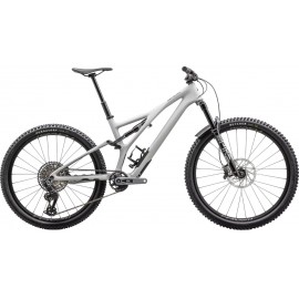 2024 Specialized Stumpjumper LTD T-Type Mountain Bike