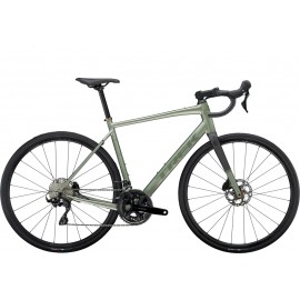 2024 Trek Domane AL 5 Gen 4 Road Bike